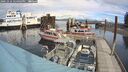 ./images/quadra/hbidock/20241016/hbidock20241016_124003M.jpg