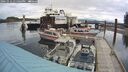 ./images/quadra/hbidock/20241016/hbidock20241016_131003M.jpg