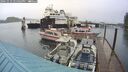 ./images/quadra/hbidock/20241016/hbidock20241016_144503M.jpg