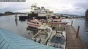 ./images/quadra/hbidock/20241016/hbidock20241016_165503M.jpg