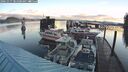 ./images/quadra/hbidock/20241017/hbidock20241017_081000M.jpg