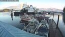 ./images/quadra/hbidock/20241017/hbidock20241017_084003M.jpg