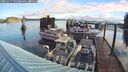 ./images/quadra/hbidock/20241017/hbidock20241017_092500M.jpg