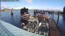./images/quadra/hbidock/20241017/hbidock20241017_095000M.jpg