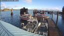 ./images/quadra/hbidock/20241017/hbidock20241017_095002M.jpg