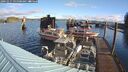 ./images/quadra/hbidock/20241017/hbidock20241017_095500M.jpg