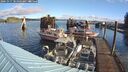 ./images/quadra/hbidock/20241017/hbidock20241017_101003M.jpg