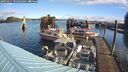 ./images/quadra/hbidock/20241017/hbidock20241017_102003M.jpg