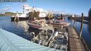 ./images/quadra/hbidock/20241017/hbidock20241017_104503M.jpg