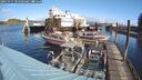./images/quadra/hbidock/20241017/hbidock20241017_105503M.jpg