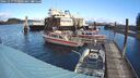 ./images/quadra/hbidock/20241017/hbidock20241017_110503M.jpg