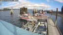 ./images/quadra/hbidock/20241017/hbidock20241017_124502M.jpg