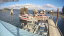 ./images/quadra/hbidock/20241017/hbidock20241017_130003M.jpg