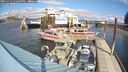 ./images/quadra/hbidock/20241017/hbidock20241017_132003M.jpg