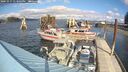 ./images/quadra/hbidock/20241017/hbidock20241017_133003M.jpg