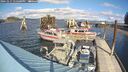 ./images/quadra/hbidock/20241017/hbidock20241017_134500M.jpg
