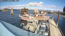 ./images/quadra/hbidock/20241017/hbidock20241017_140003M.jpg
