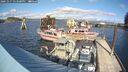 ./images/quadra/hbidock/20241017/hbidock20241017_143500M.jpg