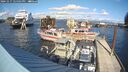 ./images/quadra/hbidock/20241017/hbidock20241017_145001M.jpg