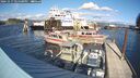 ./images/quadra/hbidock/20241017/hbidock20241017_145500M.jpg