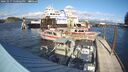 ./images/quadra/hbidock/20241017/hbidock20241017_150503M.jpg