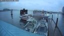 ./images/quadra/hbidock/20241018/hbidock20241018_075003M.jpg