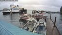 ./images/quadra/hbidock/20241018/hbidock20241018_084003M.jpg