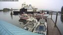 ./images/quadra/hbidock/20241019/hbidock20241019_124002M.jpg