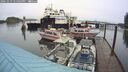 ./images/quadra/hbidock/20241019/hbidock20241019_124503M.jpg