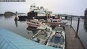 ./images/quadra/hbidock/20241019/hbidock20241019_125500M.jpg