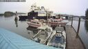 ./images/quadra/hbidock/20241019/hbidock20241019_130003M.jpg