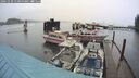 ./images/quadra/hbidock/20241020/hbidock20241020_111000M.jpg