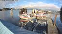 ./images/quadra/hbidock/20241020/hbidock20241020_161003M.jpg