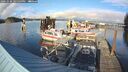 ./images/quadra/hbidock/20241020/hbidock20241020_161503M.jpg
