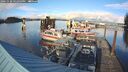 ./images/quadra/hbidock/20241020/hbidock20241020_162003M.jpg