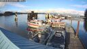./images/quadra/hbidock/20241020/hbidock20241020_162500M.jpg