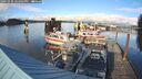 ./images/quadra/hbidock/20241020/hbidock20241020_162503M.jpg