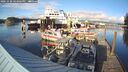 ./images/quadra/hbidock/20241020/hbidock20241020_164002M.jpg