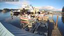 ./images/quadra/hbidock/20241020/hbidock20241020_164500M.jpg