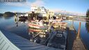 ./images/quadra/hbidock/20241020/hbidock20241020_165000M.jpg