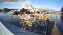 ./images/quadra/hbidock/20241020/hbidock20241020_165001M.jpg