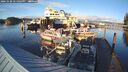 ./images/quadra/hbidock/20241020/hbidock20241020_171003M.jpg