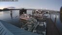 ./images/quadra/hbidock/20241020/hbidock20241020_185003M.jpg