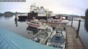 ./images/quadra/hbidock/20241022/hbidock20241022_084503M.jpg
