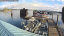 ./images/quadra/hbidock/20241023/hbidock20241023_095003M.jpg