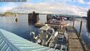 ./images/quadra/hbidock/20241023/hbidock20241023_095503M.jpg