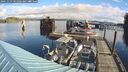 ./images/quadra/hbidock/20241023/hbidock20241023_101003M.jpg