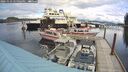 ./images/quadra/hbidock/20241023/hbidock20241023_145003M.jpg