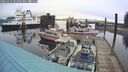 ./images/quadra/hbidock/20241025/hbidock20241025_083503M.jpg
