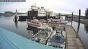 ./images/quadra/hbidock/20241025/hbidock20241025_084003M.jpg